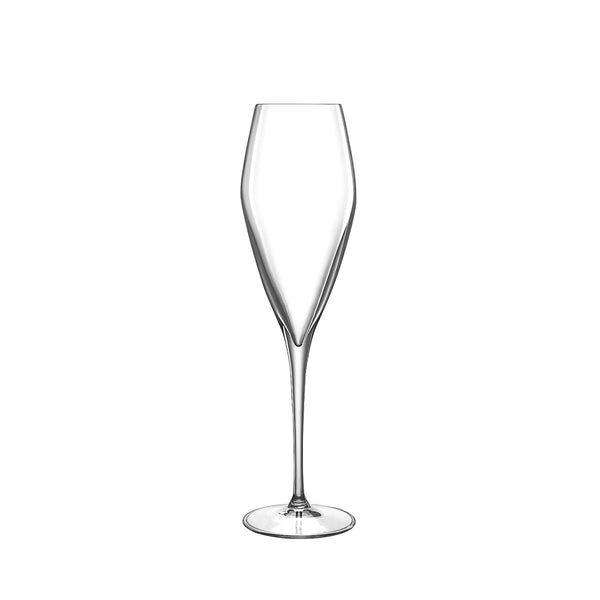 Luigi Bormioli Atelier 9.25 oz Champagne Glasses