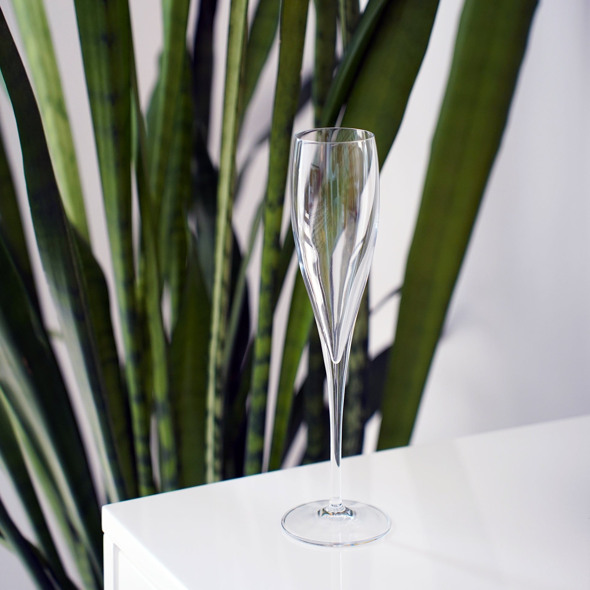 Empty Vinoteque Flute standing on a white surface with a plant in the background