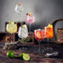 Six Gin and Tonic collection glasses filled with different color cocktails and standing on a wooden surface decorated with different cocktail garnishes