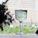 Luigi Bormioli Bach Gin glass