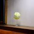 Backdoor '20s Great Gatsby Cocktail Glasses with a light green cocktail garnished with an apple standing on a wooden surface with a white wall and a picture frame in the background