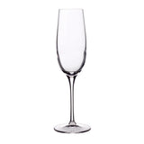Luigi Bormioli Crescendo 8.25 oz Champagne / Sparkling Wine Glasses (Set Of 4)