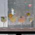 Italian Premium Assorted Gin Glasses | Mixology | 4pc Set - Luigi Bormioli USA
