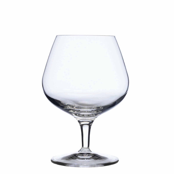 Michelangelo 13.25 oz. Cognac Glass Set of 4 Luigi Bormioli