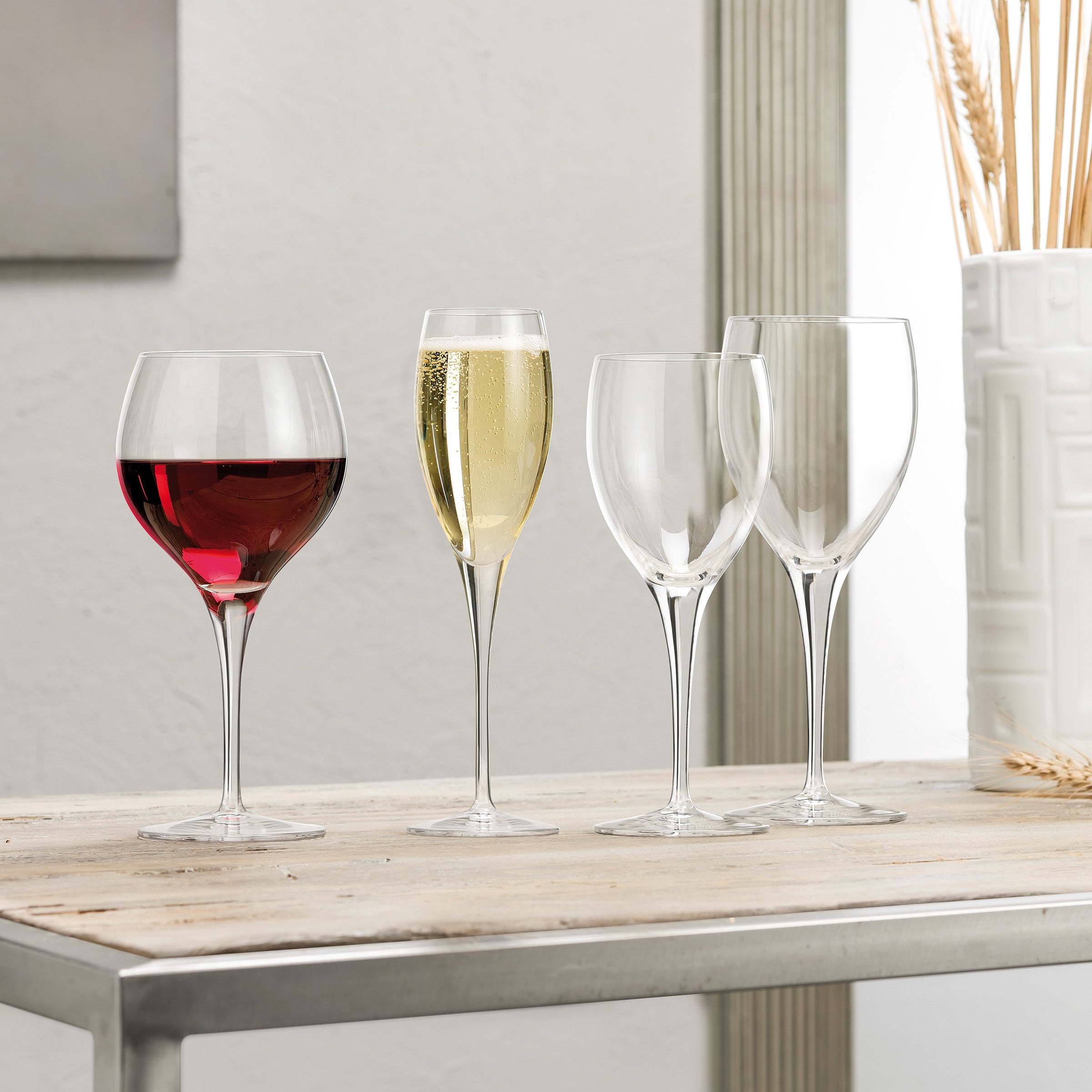Italian Premium Champagne Glasses | 7.5oz | Michelangelo Masterpiece Gold Label | Set of 4 - Luigi Bormioli USA