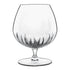 Italian Premium Cognac Glasses | 15.75oz | Mixology | Set of 6 - Luigi Bormioli USA