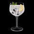 Italian Premium American Gin Glasses | 27oz | Gin & Tonic | Set of 2 - Luigi Bormioli USA