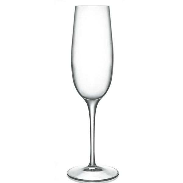 Luigi Bormioli Palace Champagne Flute (Set of 6)