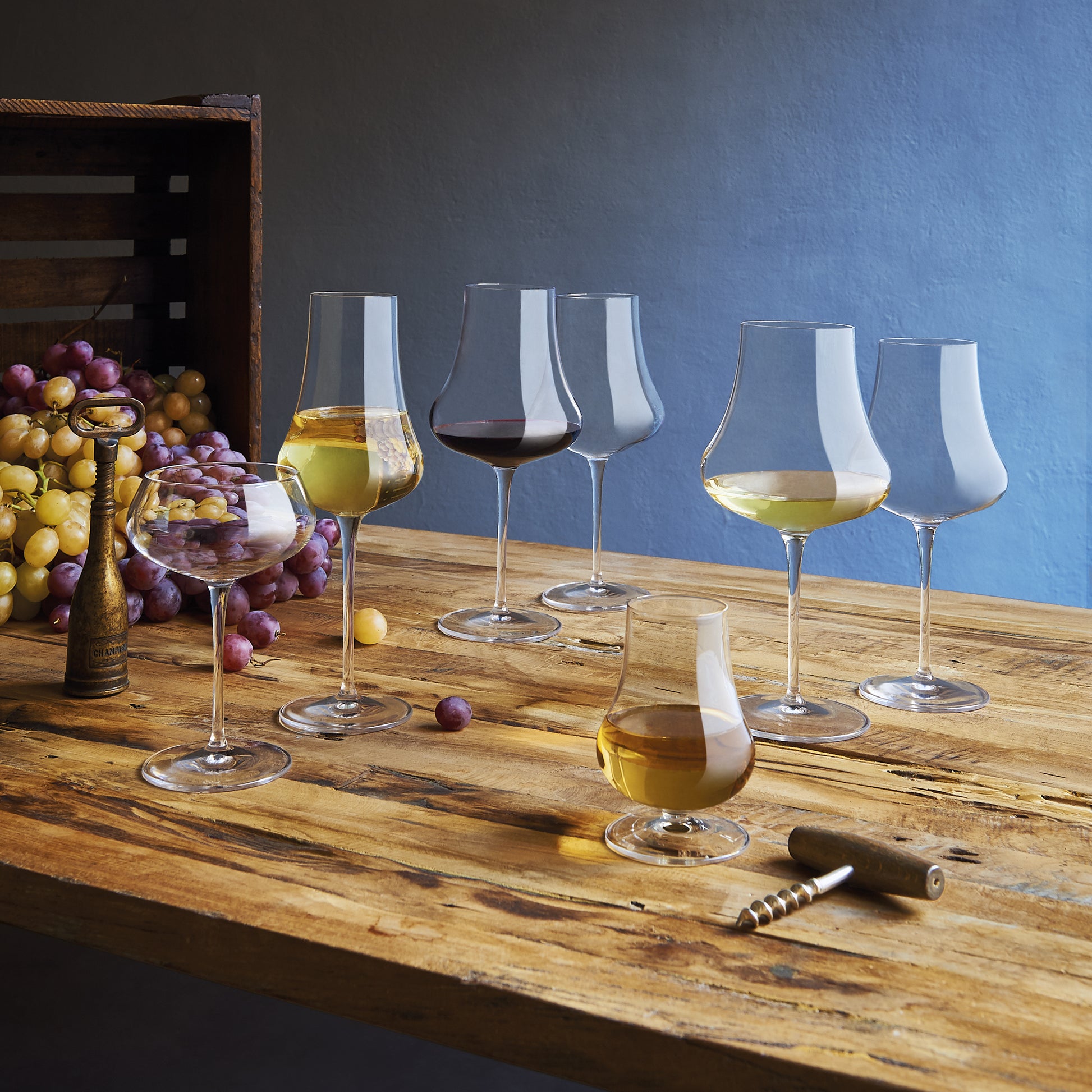 Italian Premium Chardonnay White Wine Glasses | 16oz | Tentazioni | Set of 6 - Luigi Bormioli USA