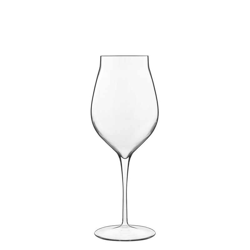 Vinea 11.75oz Malvasia / Orvieto White Wine Glasses (Set of 2)