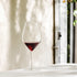 Italian Premium Cannonau Red Wine Glasses | 18.5oz | Vinea | Set of 2 - Luigi Bormioli USA