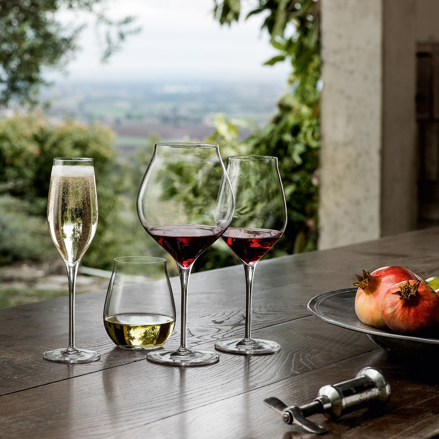 Luigi Bormioli Set of 2 Vinea Trebbiano Stemless Wine Glasses
