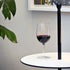 Vinoteque Riserva Red Wine Glass filled with red wine standing on a small white table a plant is in the background