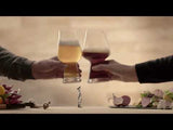 Birrateque The Design Glass for Craft Beer Styles