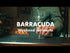 Barracda Weekend col morto cocktail recipe