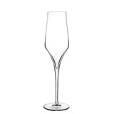 Supremo 8 oz Champagne Glasses (Set Of 2) - Luigi Bormioli USA