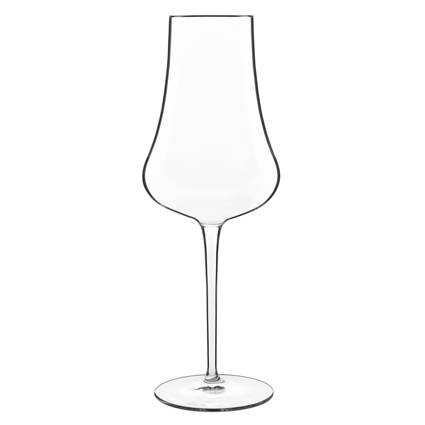 Tentazioni 14.25 oz Prosecco Tester Sparkling Wine Glasses (Set Of 6) - Luigi Bormioli USA