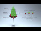 Tentazioni 22.75 oz Bordeaux Red Wine Glasses (Set Of 6)